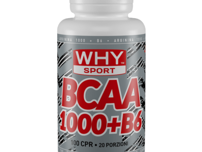acetil-l-carnitina-60-cpr (2)