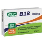acetil-l-carnitina-60-cpr (4)